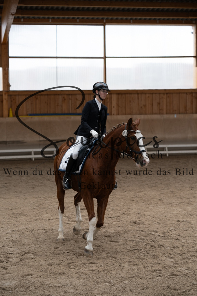 A7V09770 | Pferdefotograf