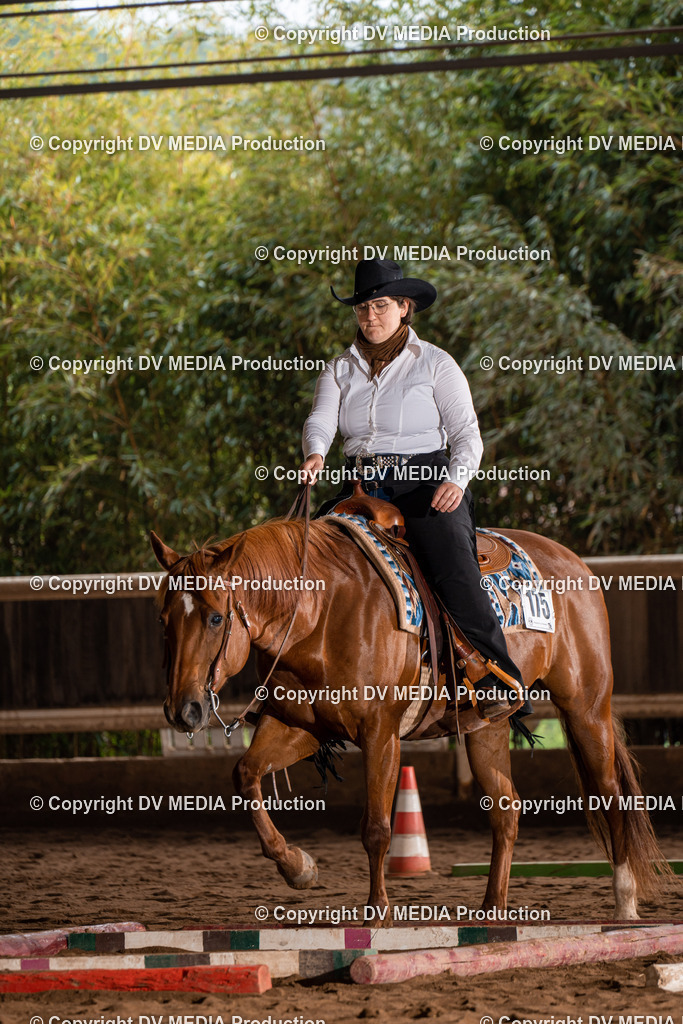 Erbach Tag 3-271 | dv-media-shop - Realisiert mit Pictrs.com