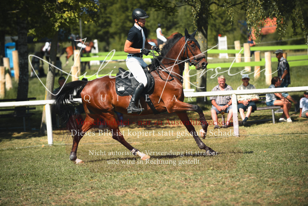 DSC_6993 | Pferde- und Turnierfotografie in Westsachsen. Pferdeportraits, Auftragszeichnungen und intuitive Kunst.