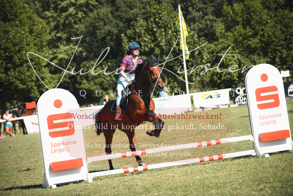 DSC_7738 | Pferde- und Turnierfotografie in Westsachsen. Pferdeportraits, Auftragszeichnungen und intuitive Kunst.