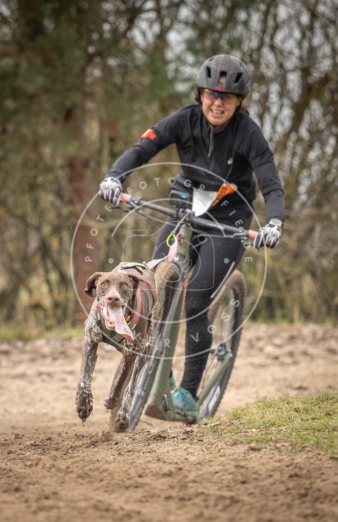 Pfotenfotografie_DV3A9492 | Hundefotografie, Tierfotograf, Pfotenfotografie, Fotoshooting Hund, Hunde Portrait, Hundesport, Hundeportraits, Heideshooting, Hunde, Sportfotograf, Hundefotograf, Turnierhundsport, THS,  - Realisiert mit Pictrs.com