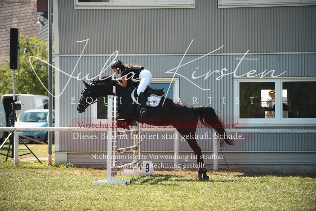 DSC_7083 | Pferde- und Turnierfotografie in Westsachsen. Pferdeportraits, Auftragszeichnungen und intuitive Kunst.