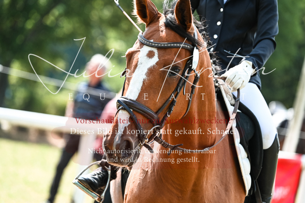 DSC_8690 | Pferde- und Turnierfotografie in Westsachsen. Pferdeportraits, Auftragszeichnungen und intuitive Kunst.