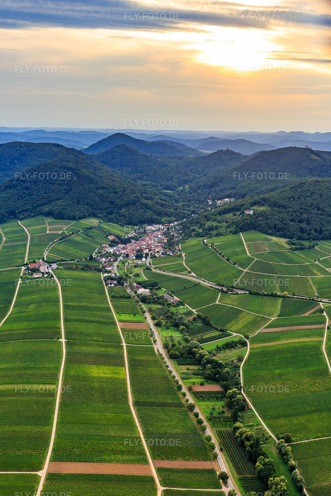 Luftbild: Ortsansicht aus Osten bei Sonnenuntergang in Leinsweiler im Bundesland Rheinland-Pfalz in Deutschland. Foto: IMG_128499.jpg vom 21.08.2021 durch Werner Riehm/FLY-FOTO.de