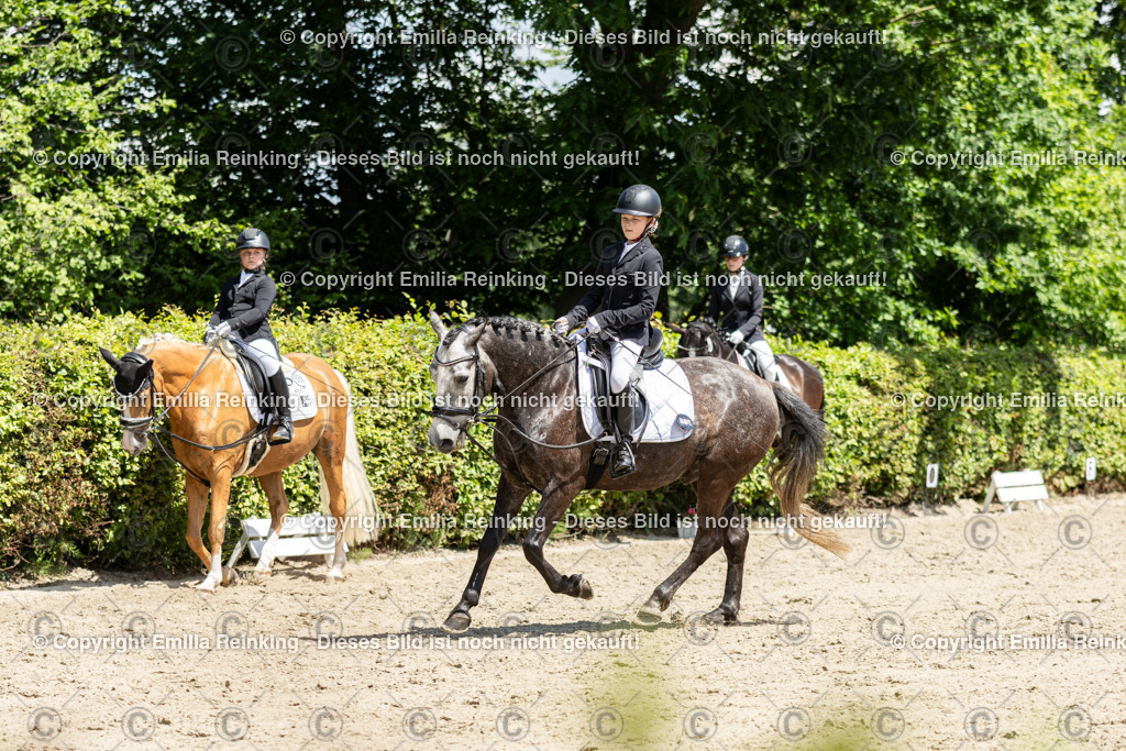 CL5A9510 | Emilia Reinking Fotografie - Realisiert mit Pictrs.com