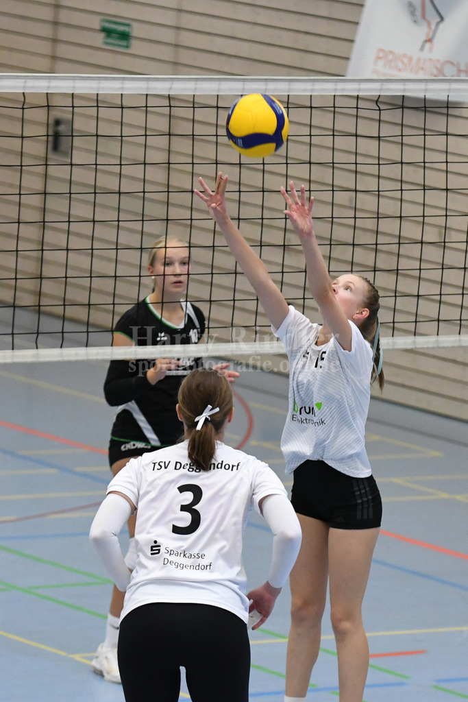 TSV Deggendorf Damen : Wilde Wespen Steinach | TSV Deggendorf Damen : Wilde Wespen Steinach - Realisiert mit Pictrs.com