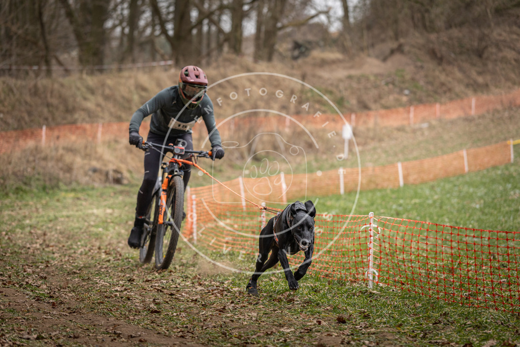 Pfotenfotografie_DV3A6875 | Hundefotografie, Tierfotograf, Pfotenfotografie, Fotoshooting Hund, Hunde Portrait, Hundesport, Hundeportraits, Heideshooting, Hunde, Sportfotograf, Hundefotograf, Turnierhundsport, THS,  - Realisiert mit Pictrs.com