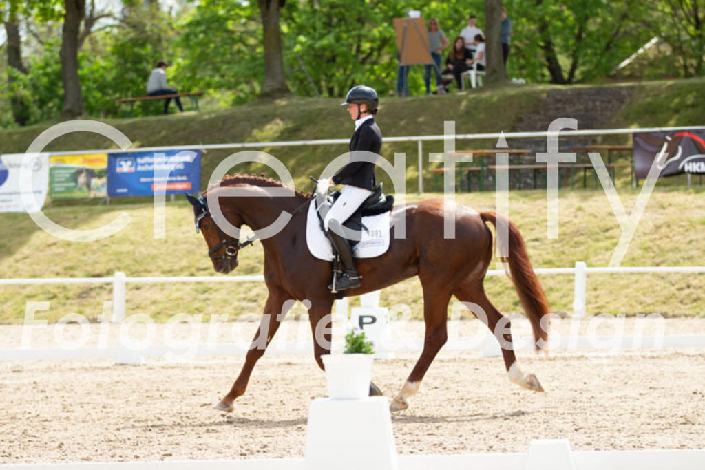 IMG_2563 | Creatify Fotografie