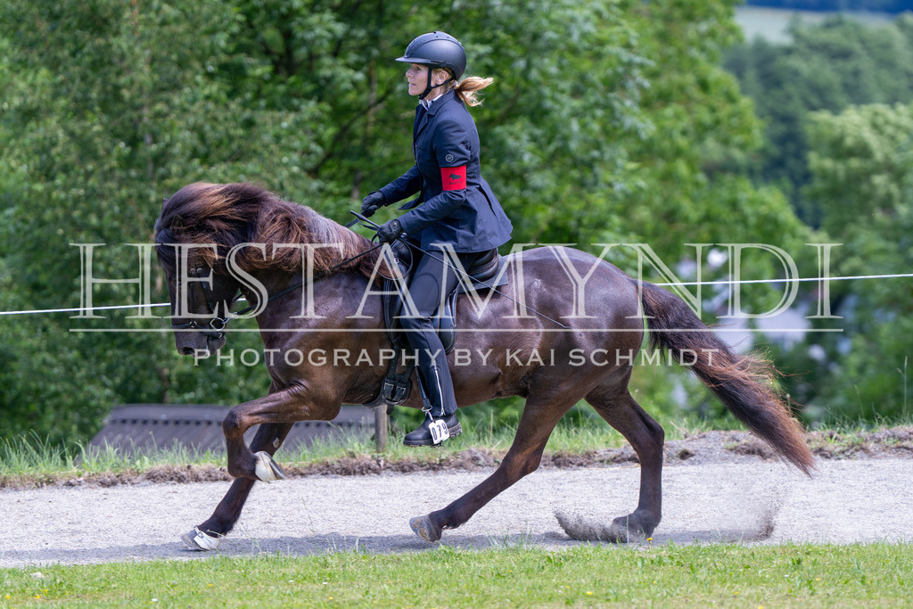 KAI02582 | Ihr sucht einen Fotografen für eure nächste OSI? Ich begleite auch euer Turnier für Islandpferde fotografisch.  - Realisiert mit Pictrs.com