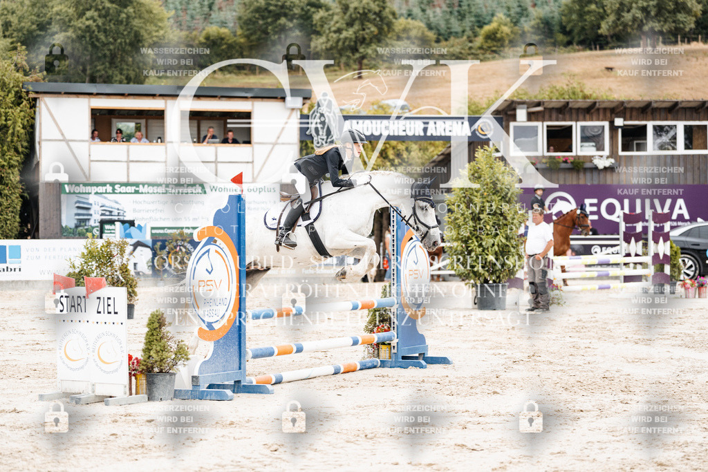 CK908331 | Turnierfotografie Pferdefotografie Trier Rheinland-Pfalz Pferdesport Reitsport Tierfotografie Sportfotografie Pferdevideo Pferdevideografie Equestrianvideography equestrianphotography  - Realisiert mit Pictrs.com