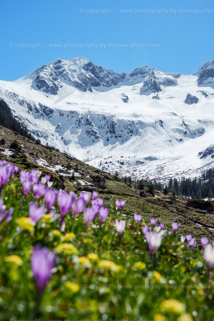  Stilluptal Frühling copyright  Thomas Pfister-16 | PHOTOGRAPHY BY THOMAS PFISTER