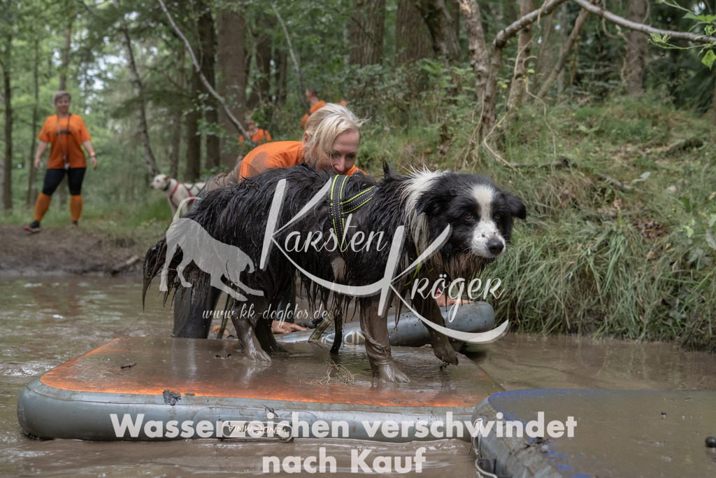 1342_ZZ95487 | kk-dogfotos