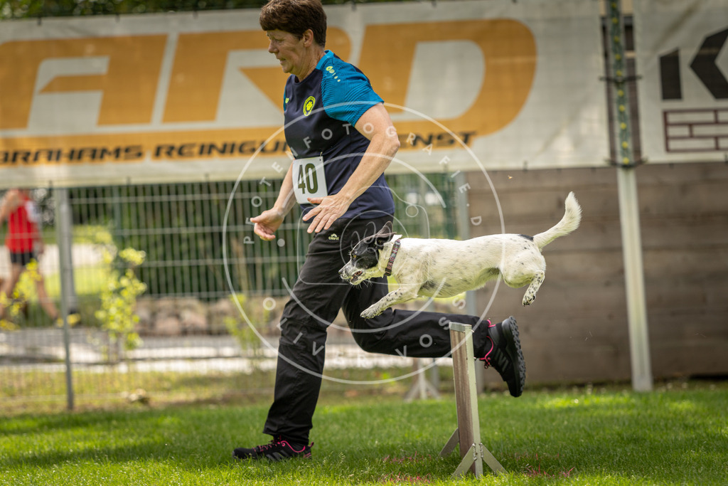 Pfotenfotografie_DV3A3790 | Hundefotografie, Tierfotograf, Pfotenfotografie, Fotoshooting Hund, Hunde Portrait, Hundesport, Hundeportraits, Heideshooting, Hunde, Sportfotograf, Hundefotograf, Turnierhundsport, THS,  - Realisiert mit Pictrs.com