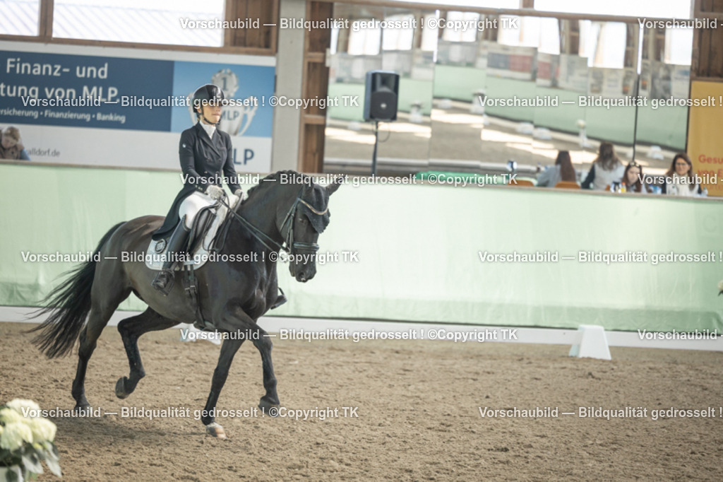_D5A1656 | Emotionale Pferde- & People-Fotografie rund um Heidelberg, Leimen & Umgebung. Natürliche Fotos von Pferd, Mensch & Familie. Jetzt Termin sichern!