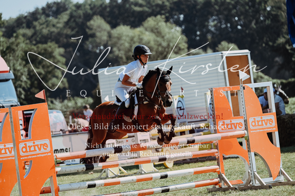 DSC_6177 | Pferde- und Turnierfotografie in Westsachsen. Pferdeportraits, Auftragszeichnungen und intuitive Kunst.