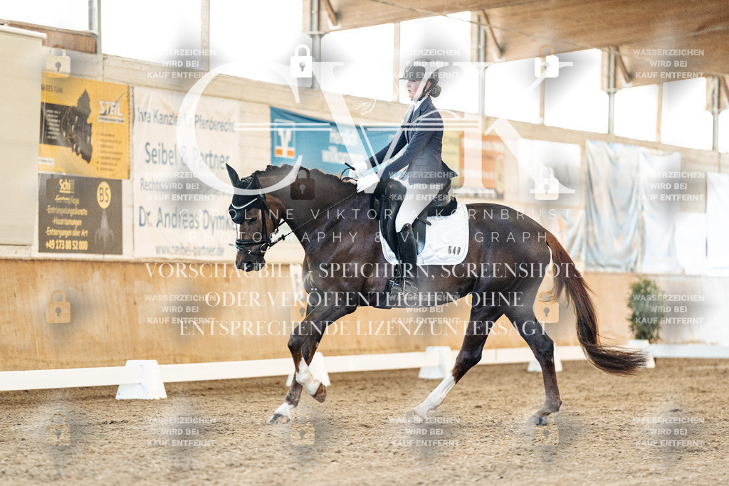 CK906888 | Turnierfotografie Pferdefotografie Trier Rheinland-Pfalz Pferdesport Reitsport Tierfotografie Sportfotografie Pferdevideo Pferdevideografie Equestrianvideography equestrianphotography  - Realisiert mit Pictrs.com