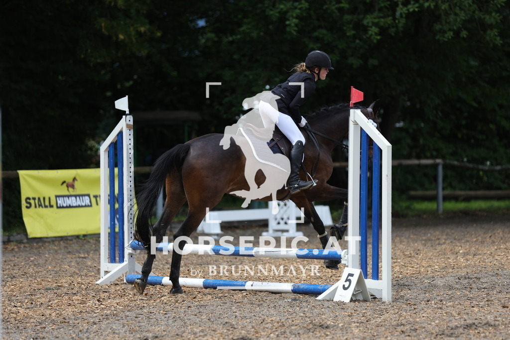 0P6A1041 | Willkommen bei Brunnmayr - Design & Fotografie – Ihrem Spezialisten für Reitturniere und Pferdeveranstaltungen in Oberösterreich, Salzburg und Bayern! Seit über 17 Jahren sind wir leidenschaftlich dabei.