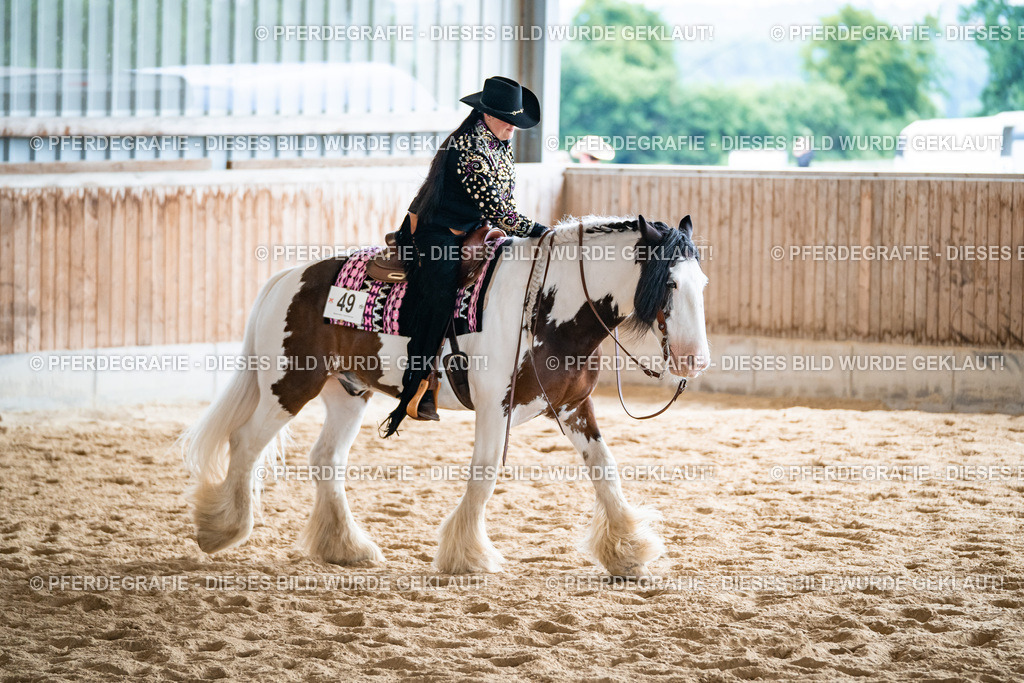 DSC02417 | Pferdegrafie