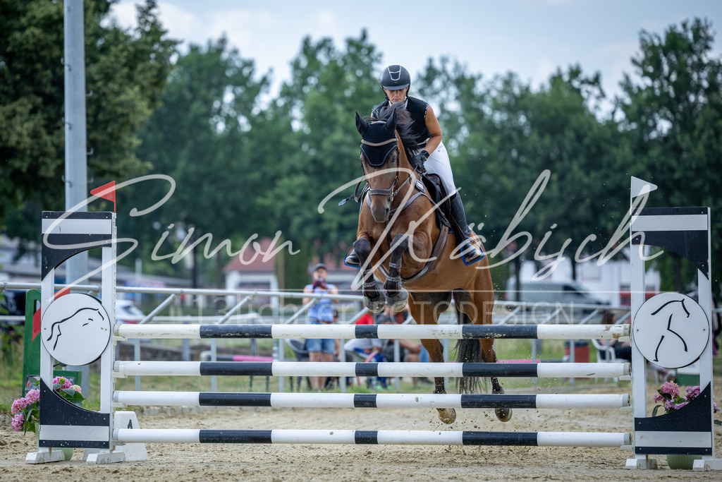 20260704-_3LI1534 | Tierfotografie Pferde, Hunde, Katzen, Haustiere.
Turnierfotografie Reitturniere, Reiten, Springreiten, Dressur in Hanau, dem Main-Kinzig-Kreis und dem Rhein-Main- Gebiet um Frankfurt