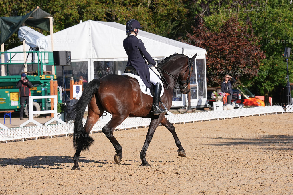 09_1-155-DRESSUR  S_  -Marixx-5672 | working equitationturnier fotograf videograf stoibphotography marixx film working equitation deutschland reitsport turnierfotografie eventfotografie equestrian events