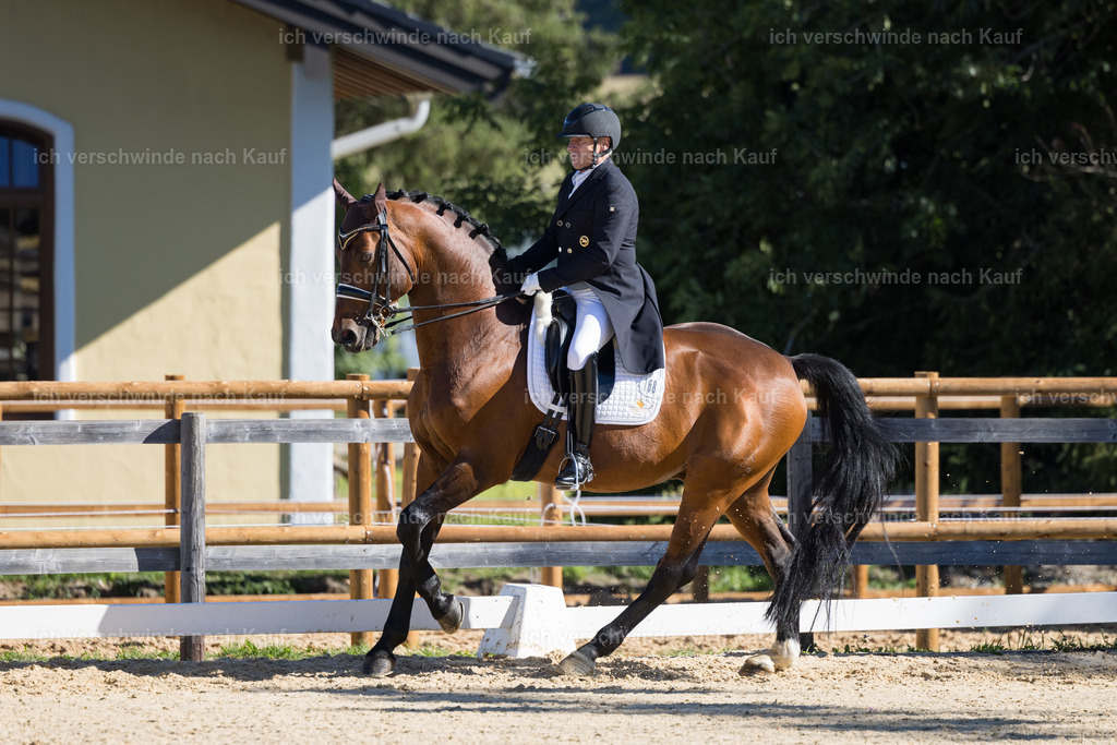 FHC2026_P07_168_17507 | working equitationturnier fotograf videograf stoibphotography marixx film working equitation deutschland reitsport turnierfotografie eventfotografie equestrian events