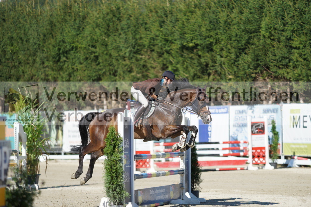 DSC02952 | equestrian-live-com