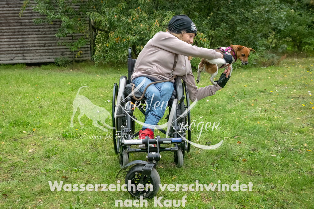 1646_ZZ90434-3-Bearbeitet | kk-dogfotos