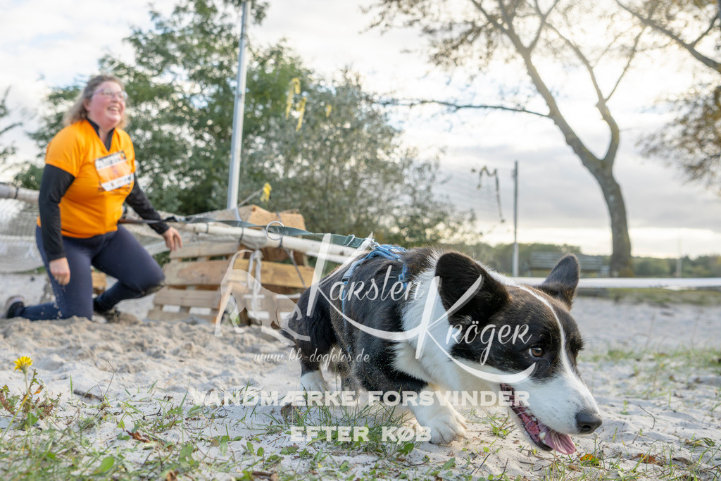 1623_ZZ97307 | kk-dogfotos