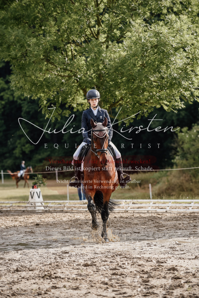 DSC_8612 | Pferde- und Turnierfotografie in Westsachsen. Pferdeportraits, Auftragszeichnungen und intuitive Kunst.
