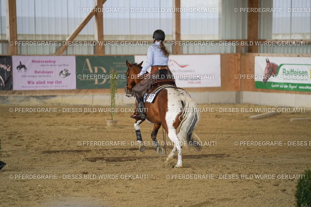 DSC06330 | Pferdegrafie