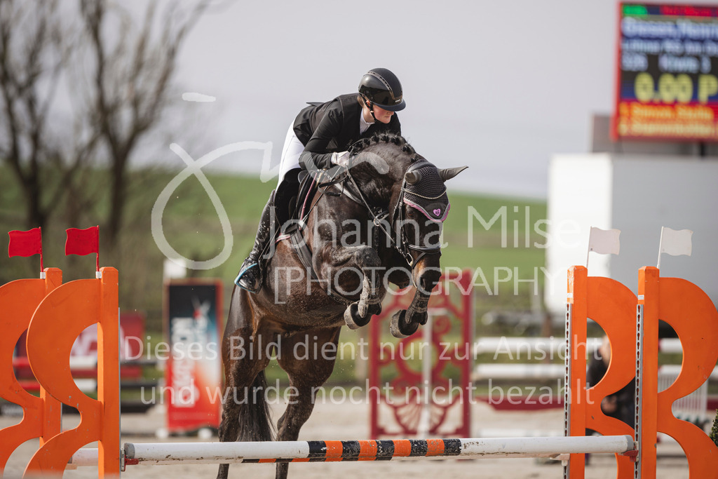 240330_Fruehlingsfest_Stil-A1_U30-323 | Deine schönsten Turniermomente als professionelle Fotos! Entdecke hochwertige Pferdesport-Fotografie im Online-Shop. Jetzt Fotos finden & bestellen!