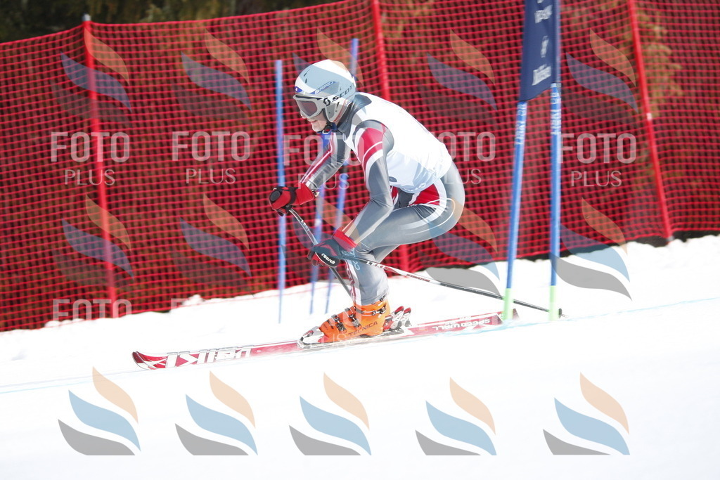 D5831 | holidayphoto