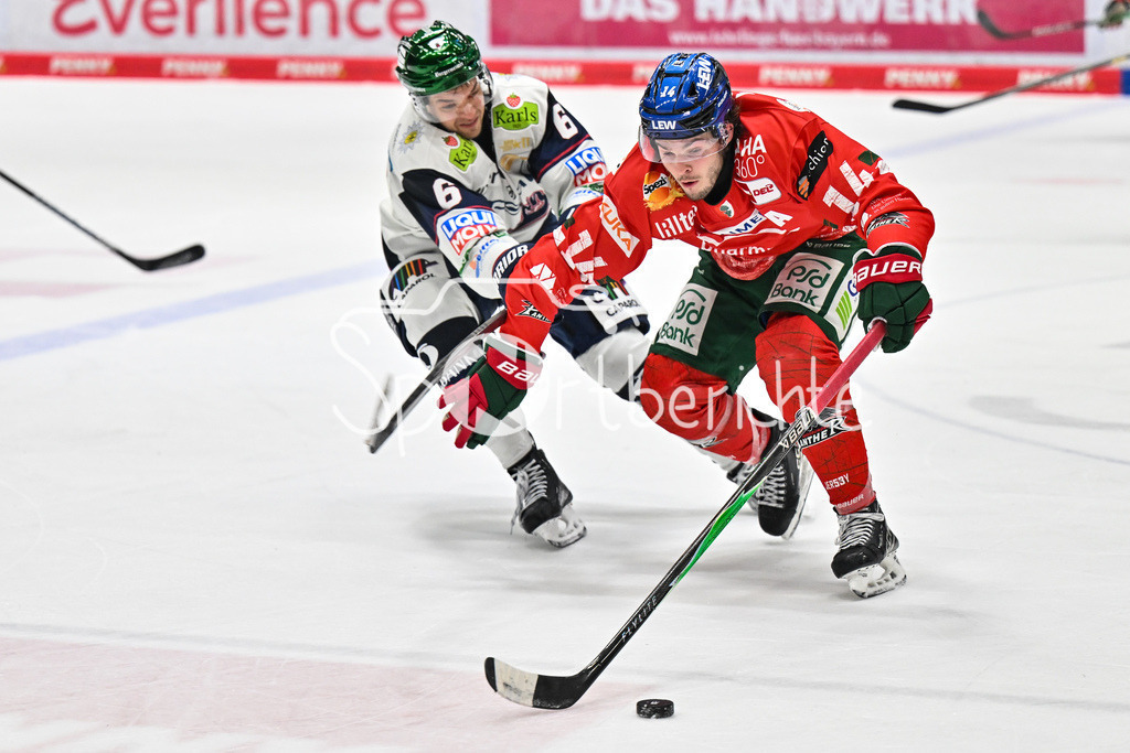 Augsburger Panther - Eisbären Berlin | AUGSBURG, GERMANY - 27. JANUARY: im Duell Kai WISSMANN (Eisbären Berlin 6) und D. J. BUSDEKER (Augsburger Panther 14) während dem Match zwischen den Augsburger Panthern und den Fischtown Pinguins am 43. Spieltag der Penny DEL im Curt Frenzel Stadion