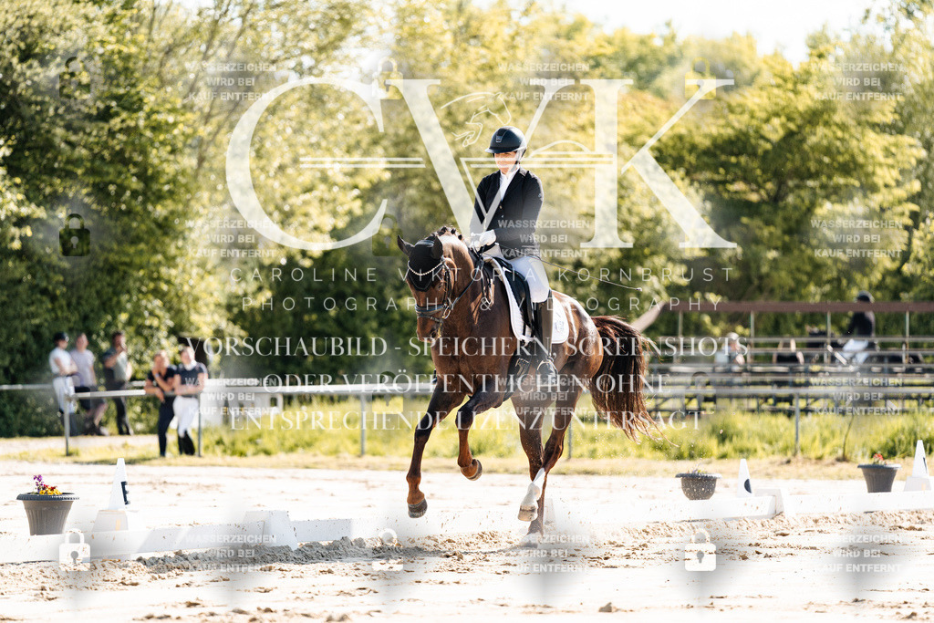 CK909167 | Turnierfotografie Pferdefotografie Trier Rheinland-Pfalz Pferdesport Reitsport Tierfotografie Sportfotografie Pferdevideo Pferdevideografie Equestrianvideography equestrianphotography  - Realisiert mit Pictrs.com