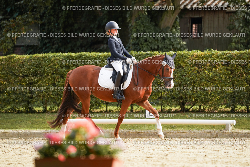 DSC05189 | Pferdegrafie