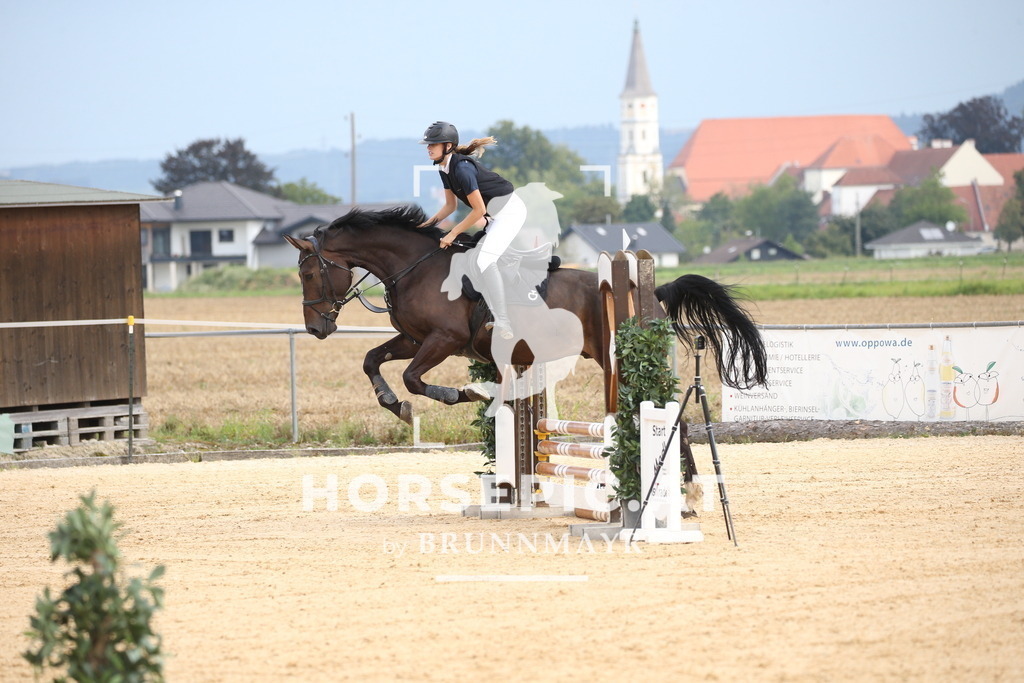 DL2Q3362 | Willkommen bei Brunnmayr - Design & Fotografie – Ihrem Spezialisten für Reitturniere und Pferdeveranstaltungen in Oberösterreich, Salzburg und Bayern! Seit über 17 Jahren sind wir leidenschaftlich dabei.
