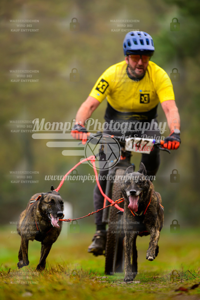 MompixPhotography_Bischwiller2025_Bike-130 | mompixphotography