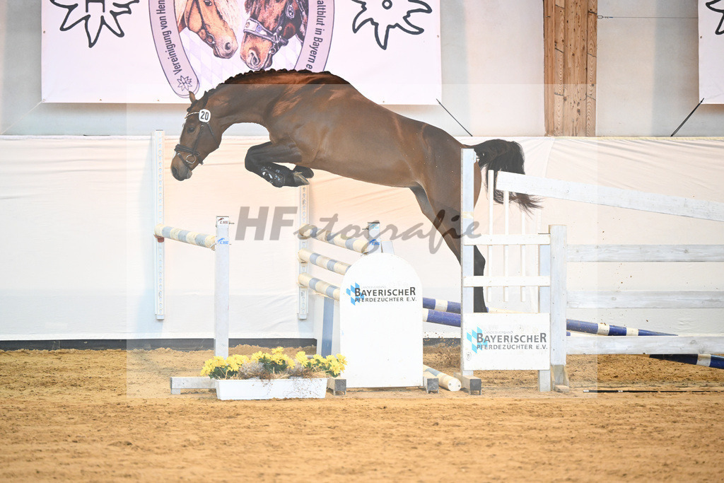 Kat-Nr. 20 v. Million Dollar_Eisenrieder_2230442 | hf-fotografie - Realisiert mit Pictrs.com