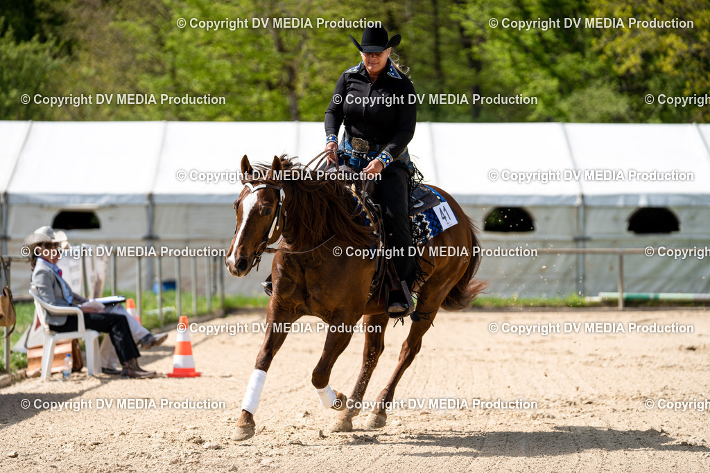 Heiligenwald Tag 2-735 | dv-media-shop - Realisiert mit Pictrs.com