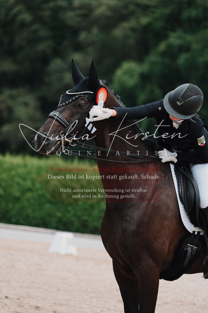 DSC_4416 | Pferde- und Turnierfotografie in Westsachsen. Pferdeportraits, Auftragszeichnungen und intuitive Kunst.