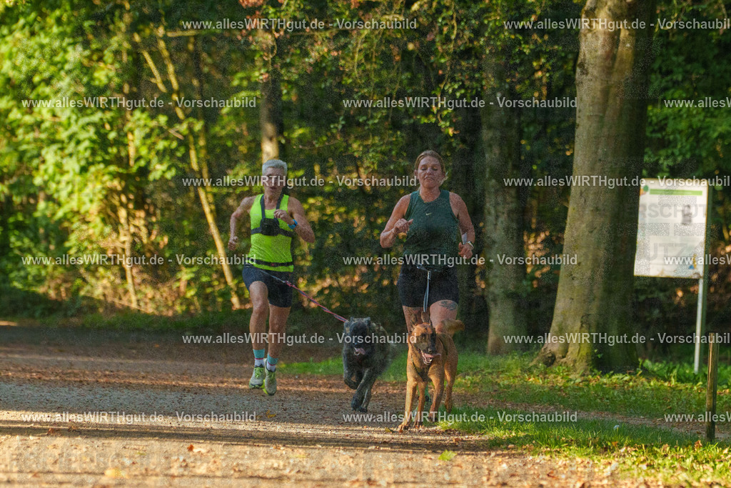THS_Turnier_27-09-2026-allesWIRTHgut_Tierfotografie-7R505217 | Professionelle Tierfotografie in Mönchengladbach von Daniel Wirth (allesWIRTHgut). Liebevolle & natürliche Bilder von Hunden & Katzen für unvergessliche Erinnerungen.