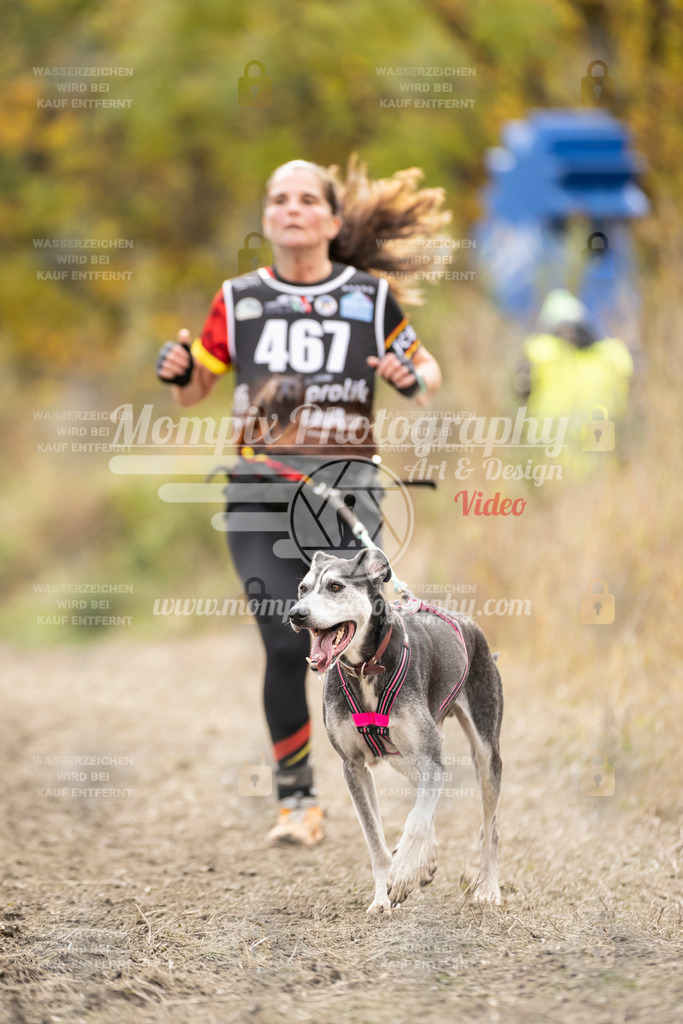 MompixPhotography_ICF_WC_2024_SA_Run_-481 | PayLife