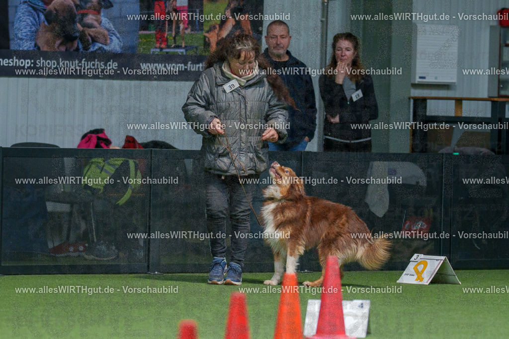 7R506175 | Professionelle Tierfotografie in Mönchengladbach von Daniel Wirth (allesWIRTHgut). Liebevolle & natürliche Bilder von Hunden & Katzen für unvergessliche Erinnerungen.