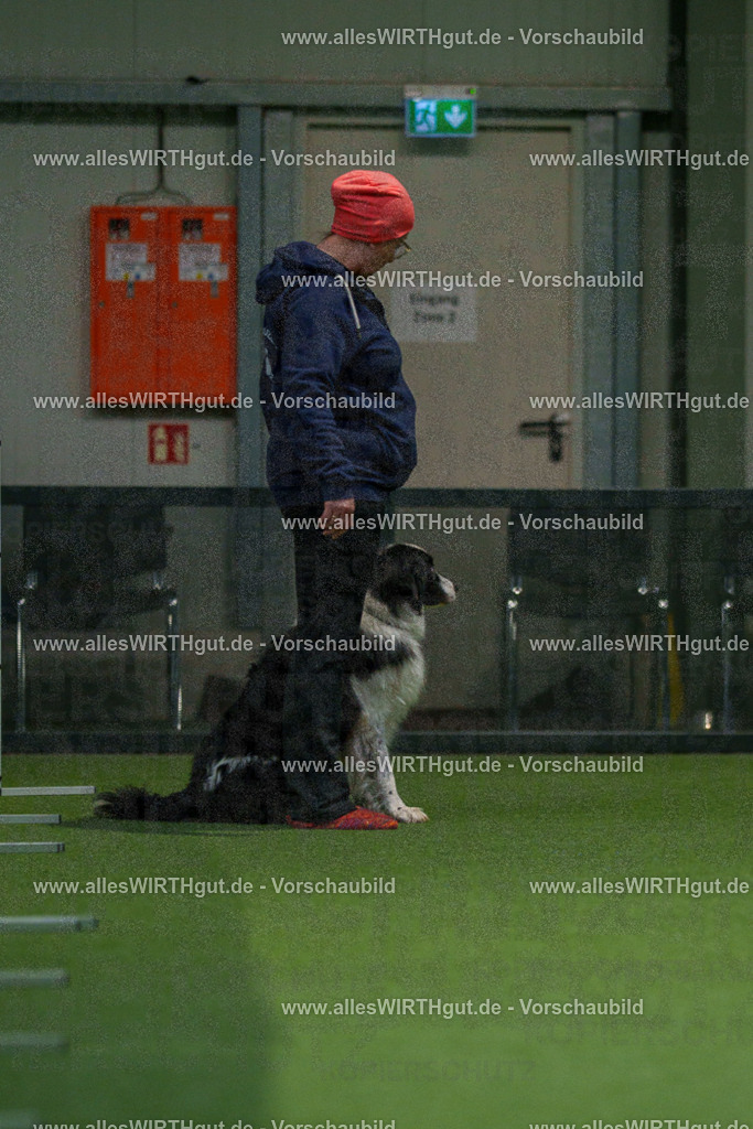 7R504537 | Professionelle Tierfotografie in Mönchengladbach von Daniel Wirth (allesWIRTHgut). Liebevolle & natürliche Bilder von Hunden & Katzen für unvergessliche Erinnerungen.