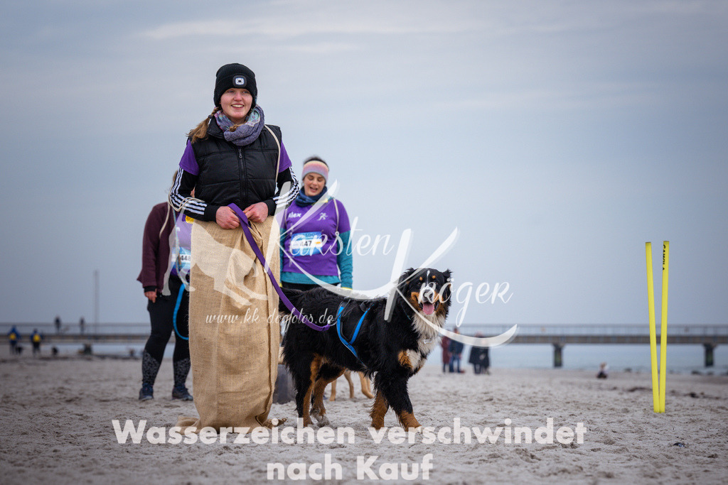 1221_ZZ93702 | kk-dogfotos