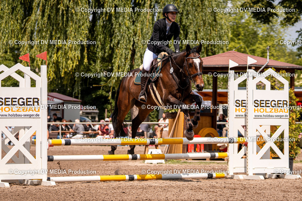 Eppelheim Tag 3-488 | dv-media-shop - Realisiert mit Pictrs.com