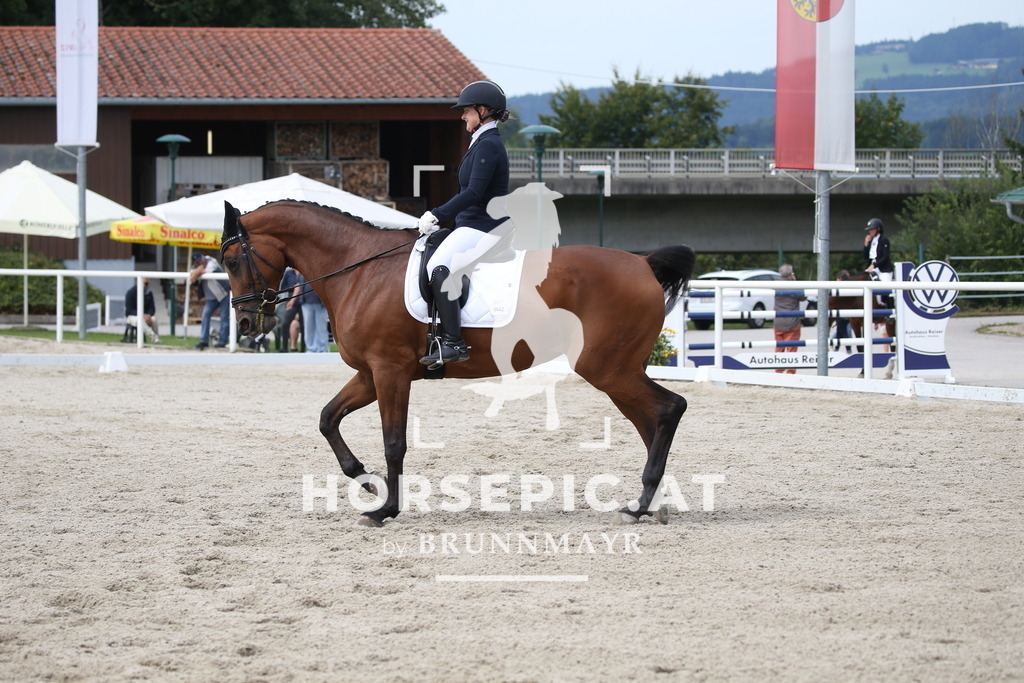 DL2Q3527 | Willkommen bei Brunnmayr - Design & Fotografie – Ihrem Spezialisten für Reitturniere und Pferdeveranstaltungen in Oberösterreich, Salzburg und Bayern! Seit über 17 Jahren sind wir leidenschaftlich dabei.