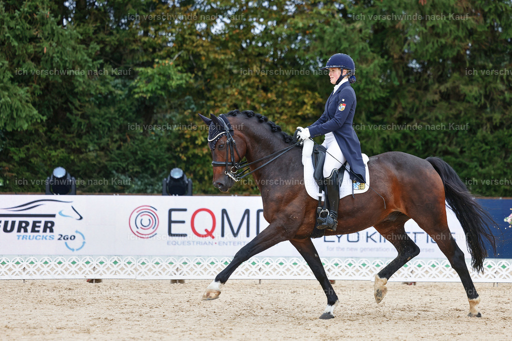 8_2-056-DRESSUR S_  -StoibPH-4414 | working equitationturnier fotograf videograf stoibphotography marixx film working equitation deutschland reitsport turnierfotografie eventfotografie equestrian events
