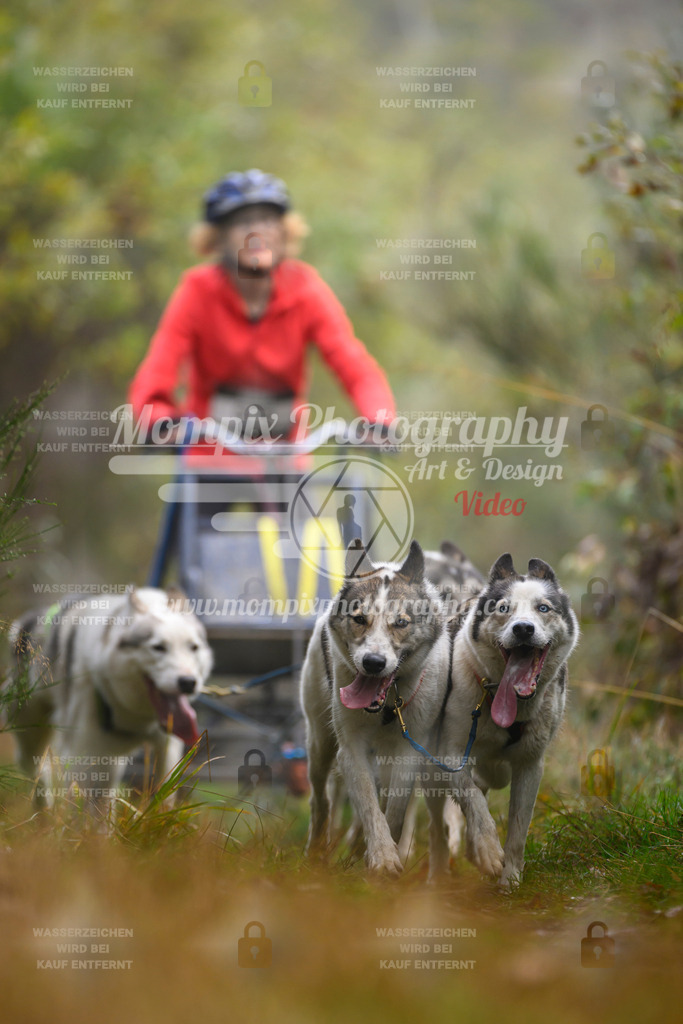MompixPhotography_20TSB_E4_Kart-28 | PayLife