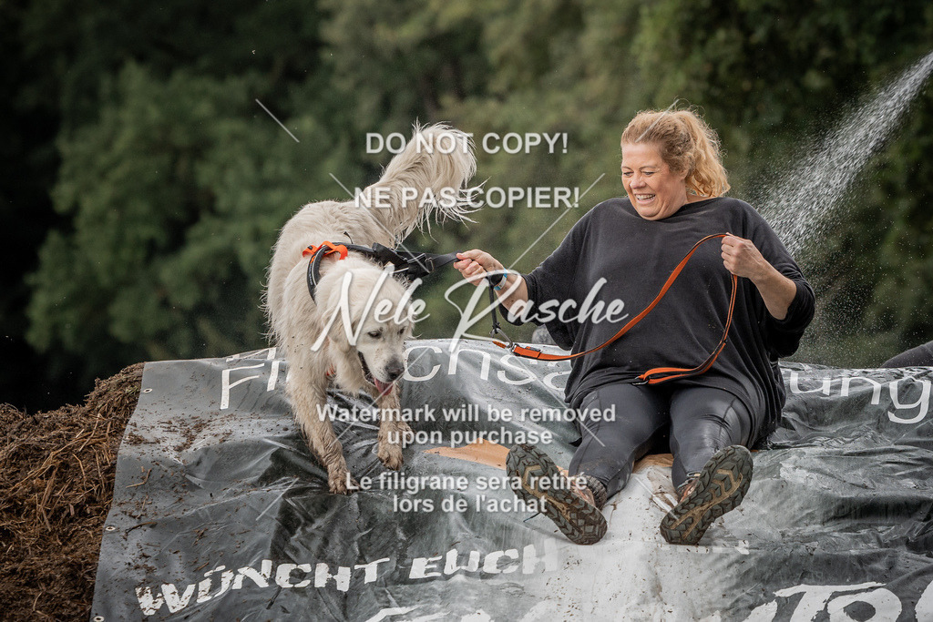 nelerasche_Wingst_Sa1300-1330_347 | nelerasche